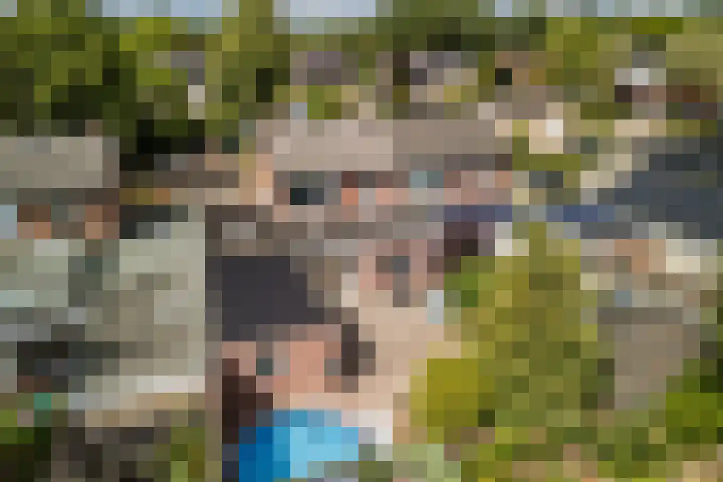 Felix Timmermanslaan 55 Bladel thumbnail 34