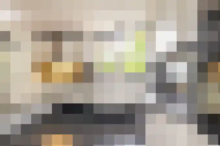 Felix Timmermanslaan 6 Groningen thumbnail 10