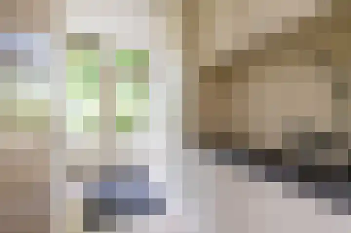 Felix Timmermanslaan 6 Groningen thumbnail 14