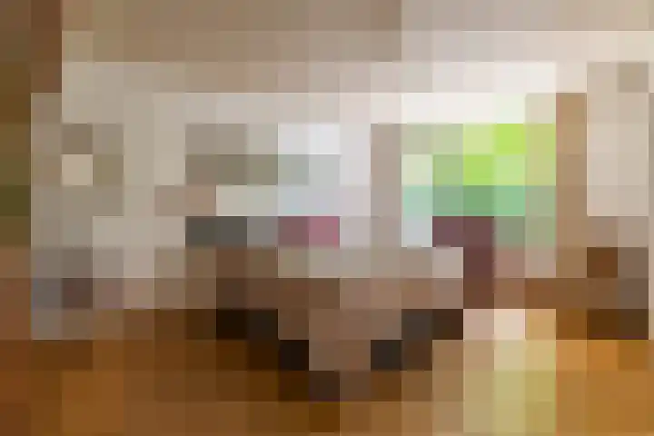 Felix Timmermanslaan 6 Groningen thumbnail 16