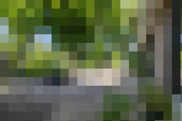 Felix Timmermanslaan 6 Groningen thumbnail 18