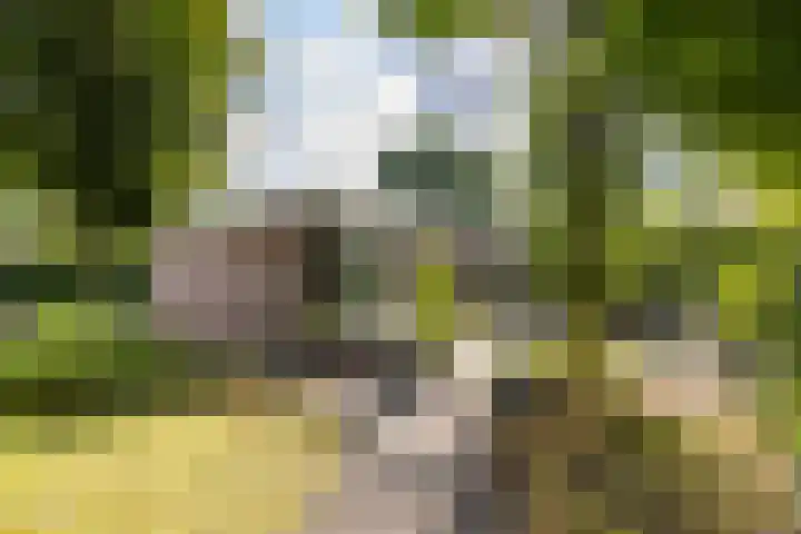 Felix Timmermanslaan 6 Groningen thumbnail 19