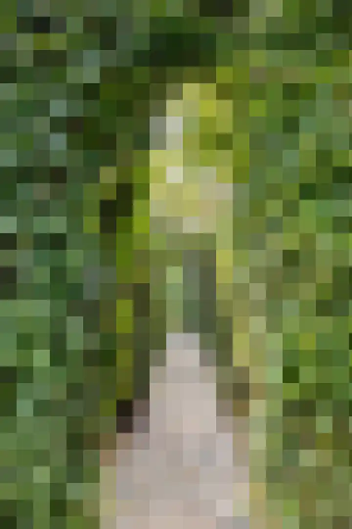 Felix Timmermanslaan 6 Groningen thumbnail 20