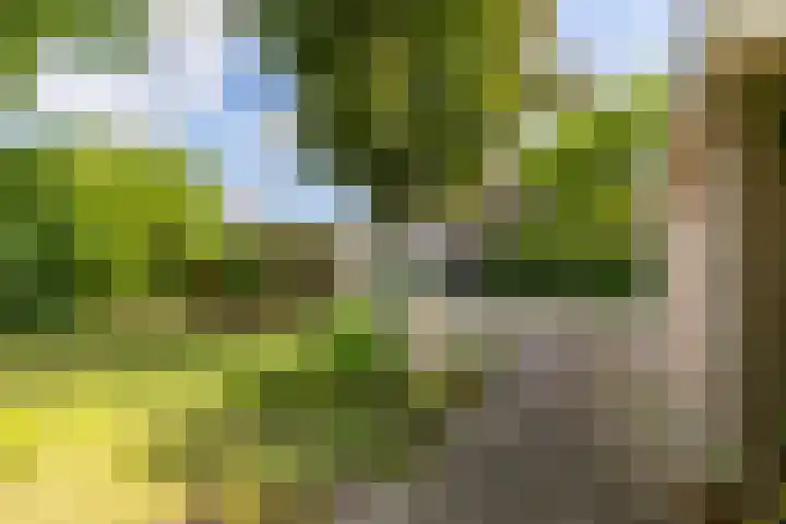 Felix Timmermanslaan 6 Groningen thumbnail 21