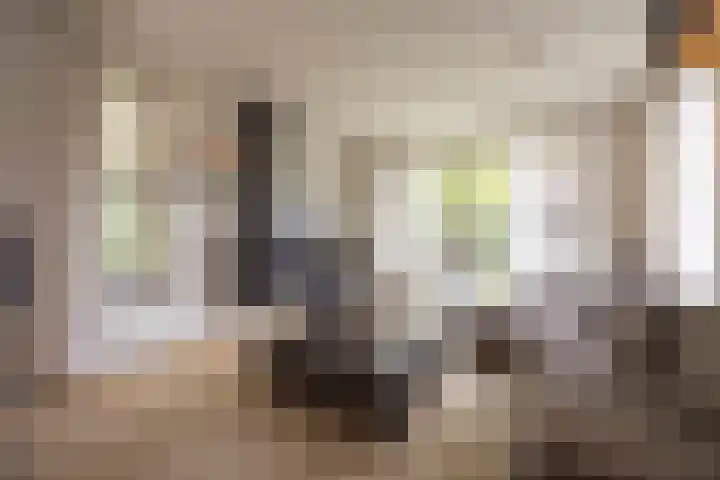 Felix Timmermanslaan 8 Hilvarenbeek thumbnail 11
