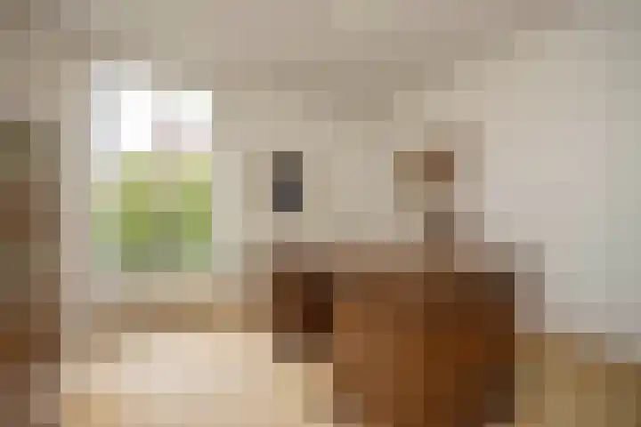 Felix Timmermanslaan 8 Hilvarenbeek thumbnail 14