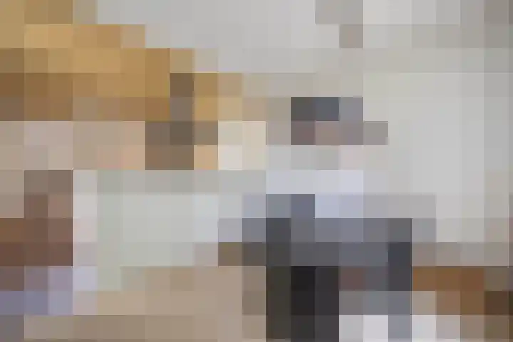 Felix Timmermanslaan 8 Hilvarenbeek thumbnail 16