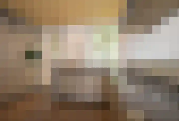 Felix Timmermanslaan 8 Hilvarenbeek thumbnail 17