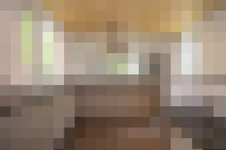 Felix Timmermanslaan 8 Hilvarenbeek thumbnail 18