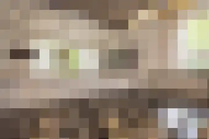 Felix Timmermanslaan 8 Hilvarenbeek thumbnail 19
