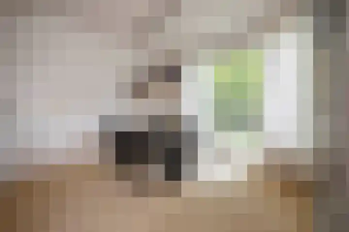 Felix Timmermanslaan 8 Hilvarenbeek thumbnail 21
