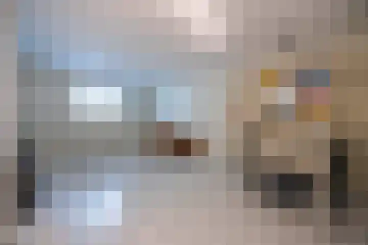 Felix Timmermanslaan 8 Hilvarenbeek thumbnail 22