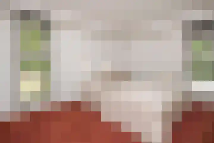 Felix Timmermanslaan 8 Hilvarenbeek thumbnail 25