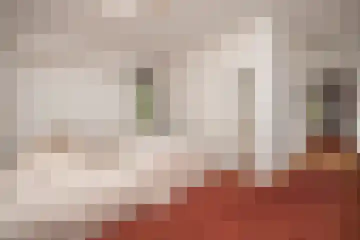 Felix Timmermanslaan 8 Hilvarenbeek thumbnail 26
