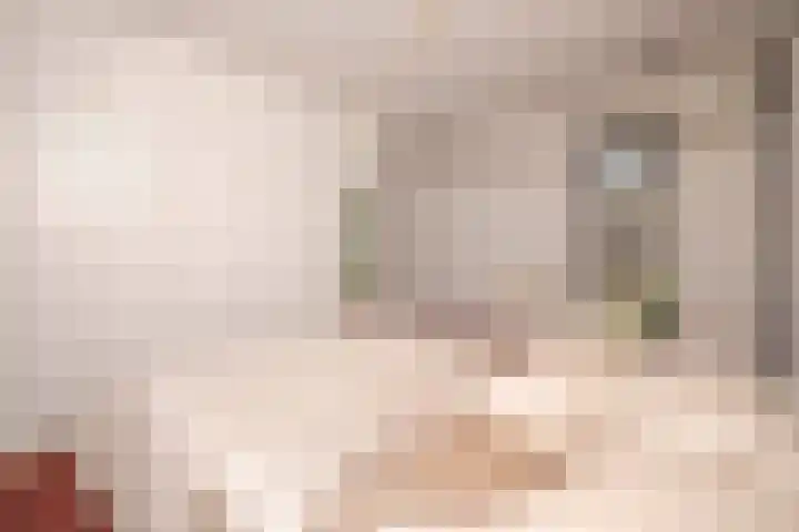 Felix Timmermanslaan 8 Hilvarenbeek thumbnail 27