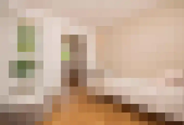Felix Timmermanslaan 8 Hilvarenbeek thumbnail 28