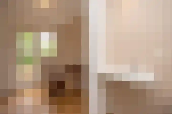 Felix Timmermanslaan 8 Hilvarenbeek thumbnail 29