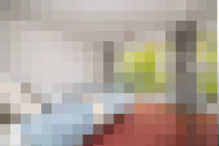Felix Timmermanslaan 8 Hilvarenbeek thumbnail 32