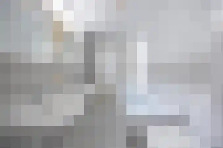 Felix Timmermanslaan 8 Hilvarenbeek thumbnail 33