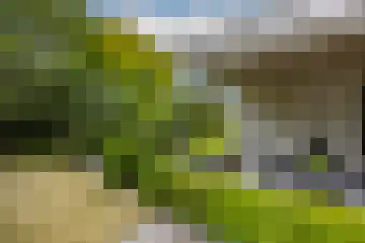 Felix Timmermanslaan 8 Hilvarenbeek thumbnail 35