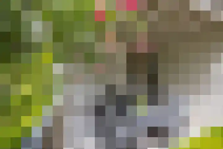 Felix Timmermanslaan 8 Hilvarenbeek thumbnail 36