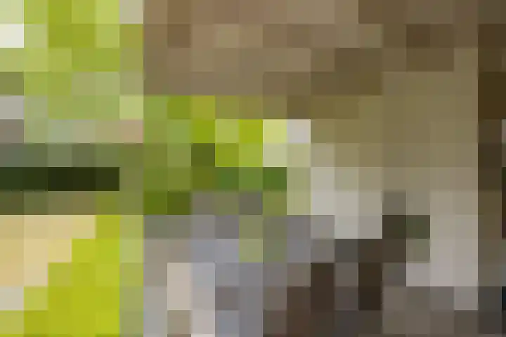 Felix Timmermanslaan 8 Hilvarenbeek thumbnail 37