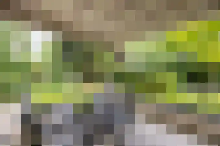 Felix Timmermanslaan 8 Hilvarenbeek thumbnail 38