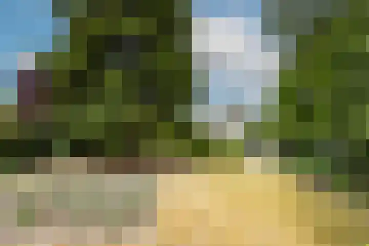 Felix Timmermanslaan 8 Hilvarenbeek thumbnail 4