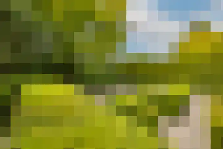Felix Timmermanslaan 8 Hilvarenbeek thumbnail 40