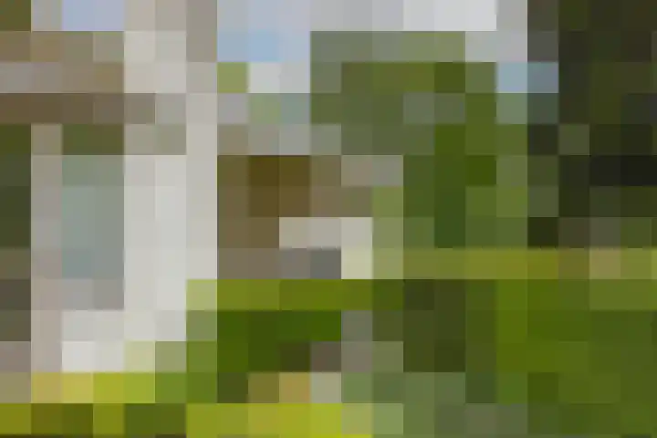Felix Timmermanslaan 8 Hilvarenbeek thumbnail 42