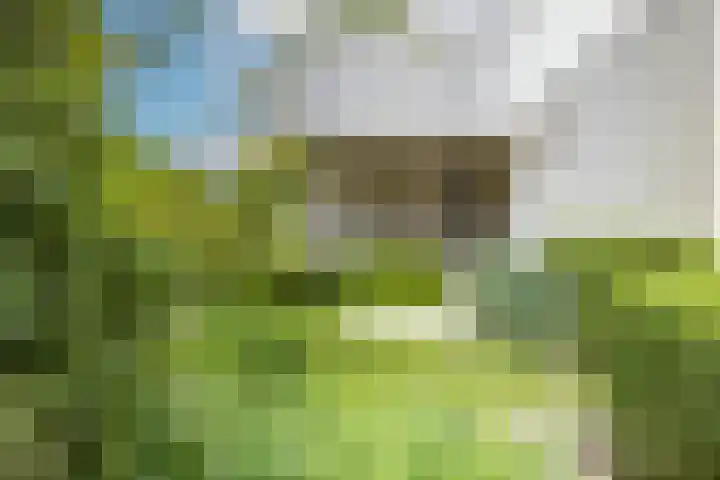 Felix Timmermanslaan 8 Hilvarenbeek thumbnail 44