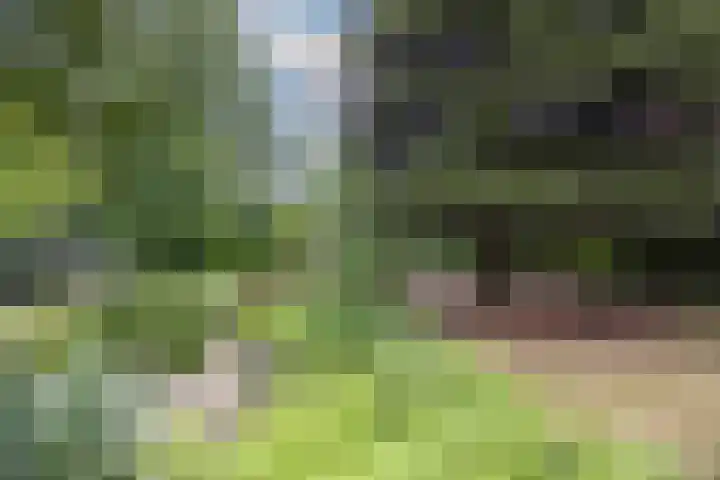 Felix Timmermanslaan 8 Hilvarenbeek thumbnail 46