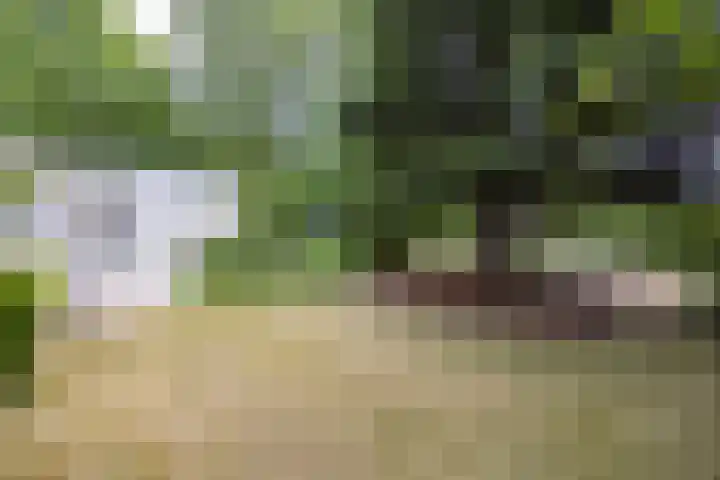 Felix Timmermanslaan 8 Hilvarenbeek thumbnail 47