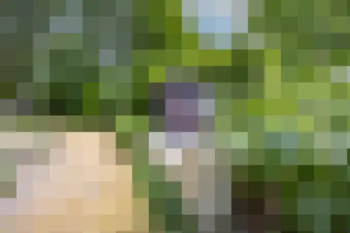Felix Timmermanslaan 8 Hilvarenbeek thumbnail 49
