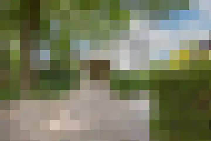 Felix Timmermanslaan 8 Hilvarenbeek thumbnail 5