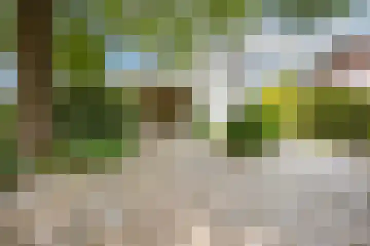 Felix Timmermanslaan 8 Hilvarenbeek thumbnail 50