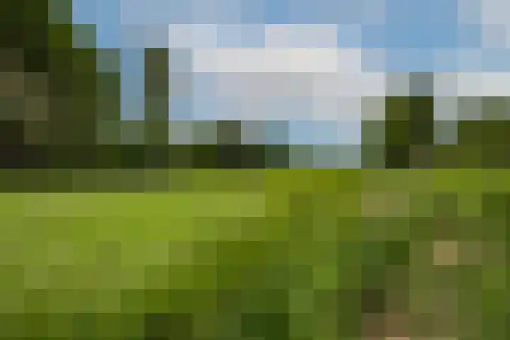 Felix Timmermanslaan 8 Hilvarenbeek thumbnail 51