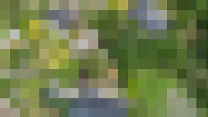 Felix Timmermanslaan 8 Hilvarenbeek thumbnail 54