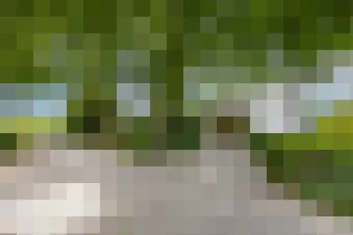 Felix Timmermanslaan 8 Hilvarenbeek thumbnail 6