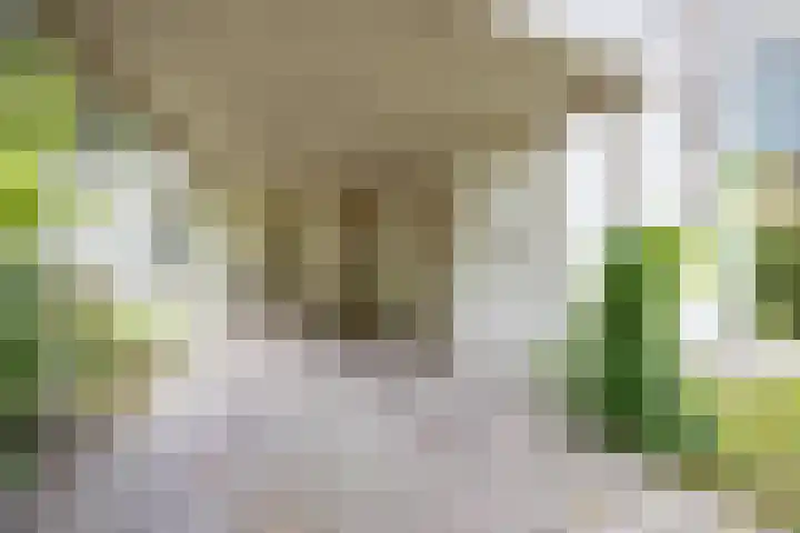 Felix Timmermanslaan 8 Hilvarenbeek thumbnail 8