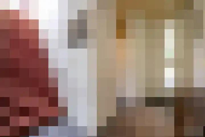 Felix Timmermanslaan 8 Hilvarenbeek thumbnail 9