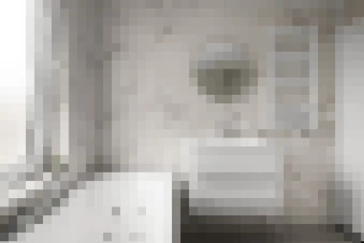 Felix Timmermanslaan 8 Uithoorn thumbnail 29