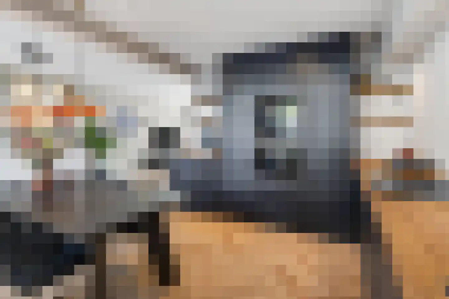 Felix Timmermansstraat 14 Vught thumbnail 13