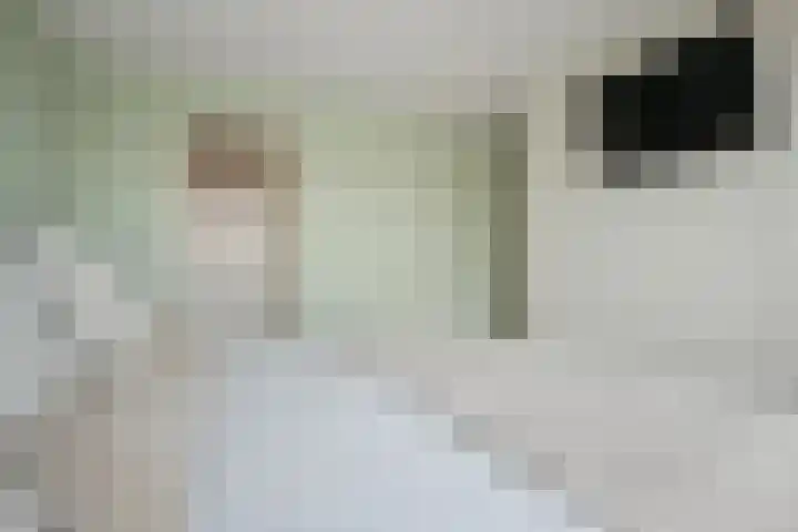 Felix Timmermansstraat 16 Vught thumbnail 23