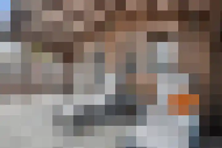 Felix Timmermansstraat 16 Vught thumbnail 38