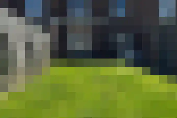 Felix Timmermansstraat 22 Venlo thumbnail 22