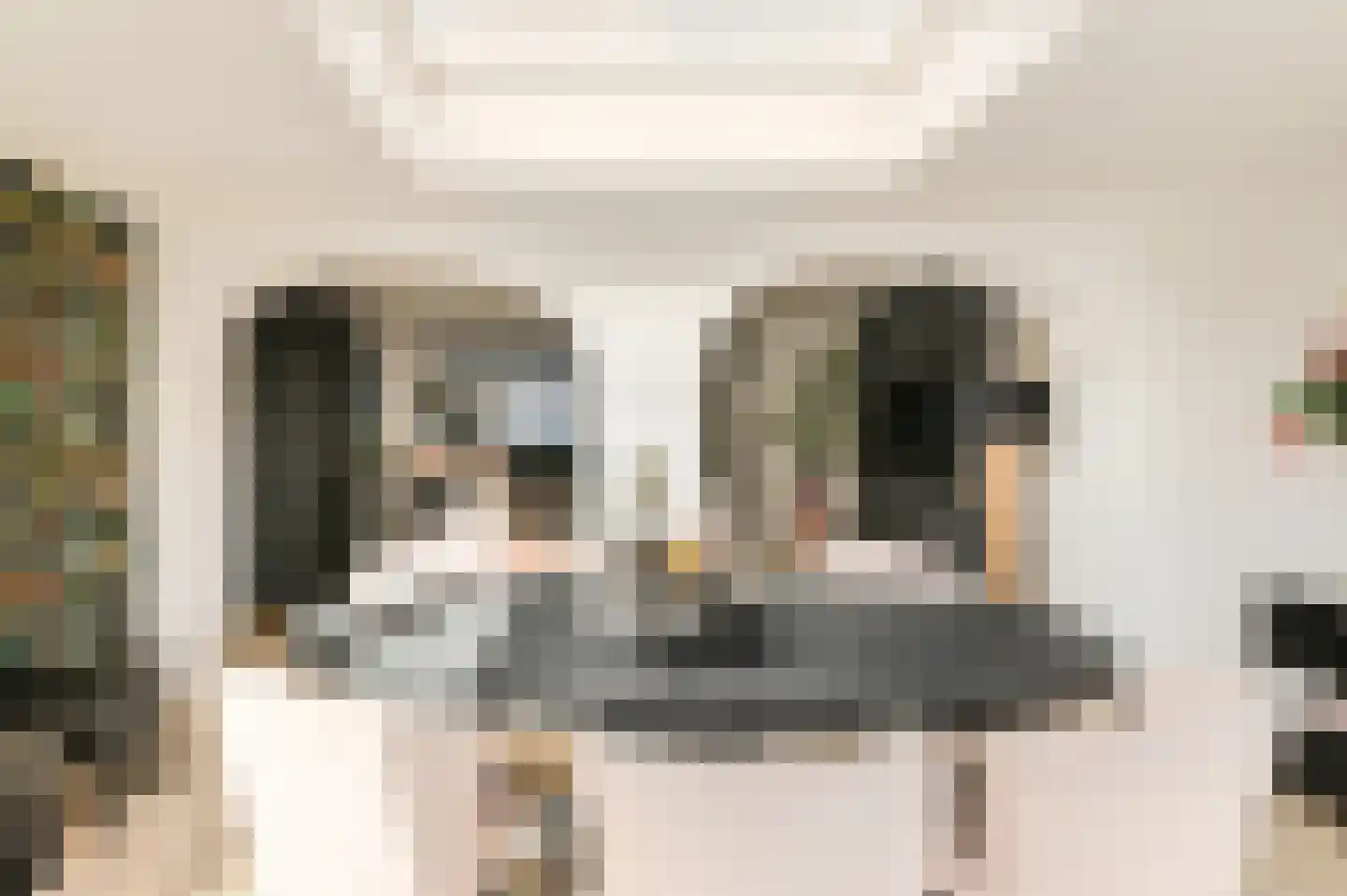 Felixberg 10 Breda thumbnail 10