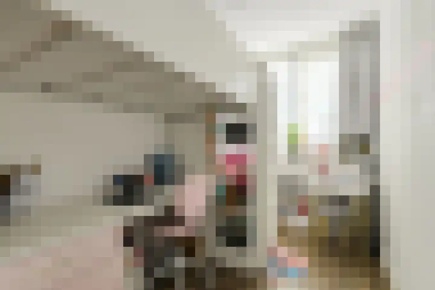 Felixberg 10 Breda thumbnail 31