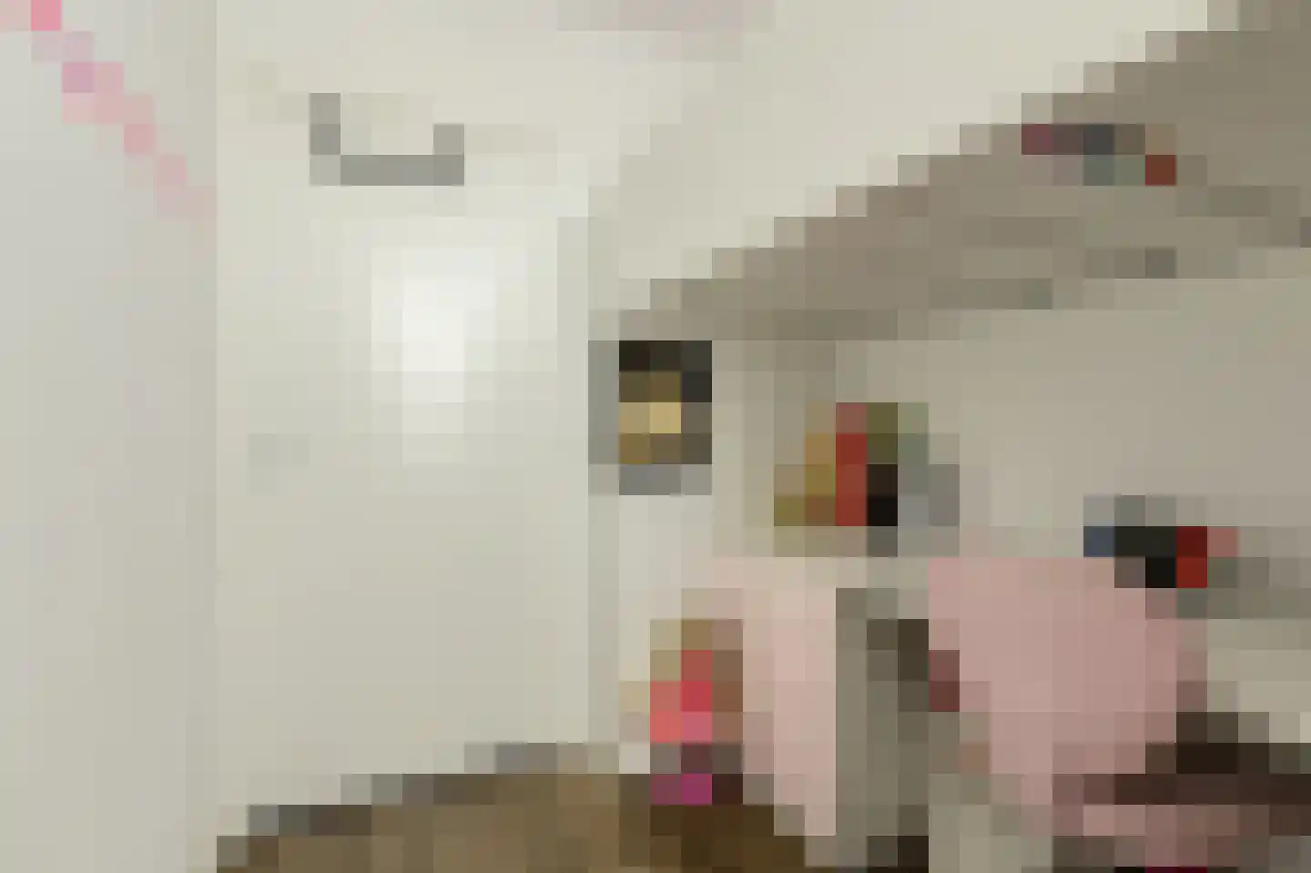 Felixberg 10 Breda thumbnail 32