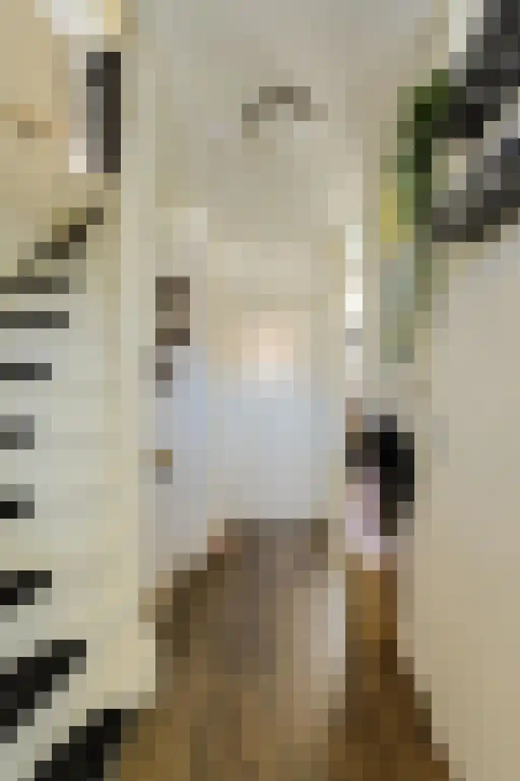 Felixberg 10 Breda thumbnail 33